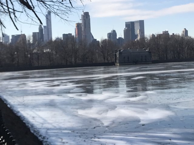 20180118 nyc 14